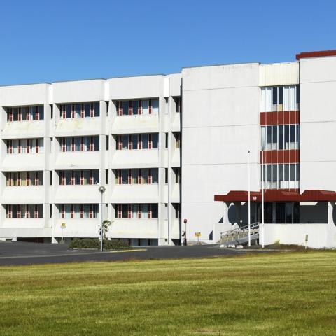 Læknagarður